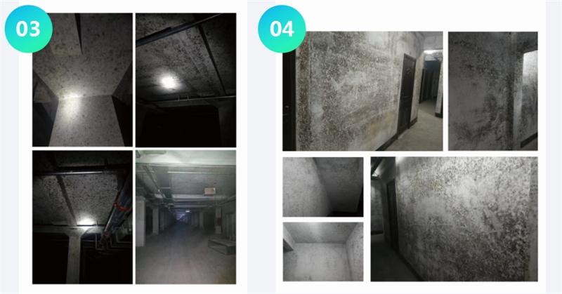 霉菌的溫床：地下車(chē)庫或儲藏室潮濕、滲漏...(圖2)