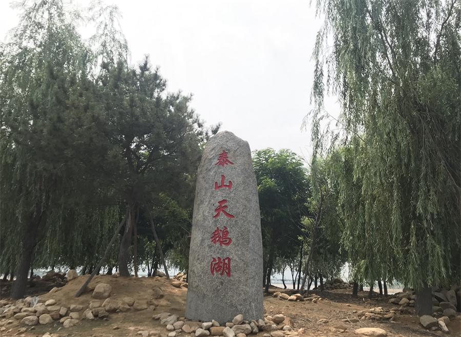 天鵝湖風(fēng)景區（泰山）速覽！(圖12)