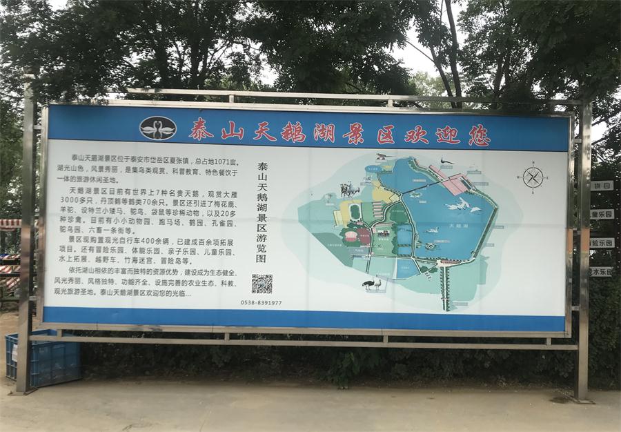 天鵝湖風(fēng)景區（泰山）速覽！(圖2)