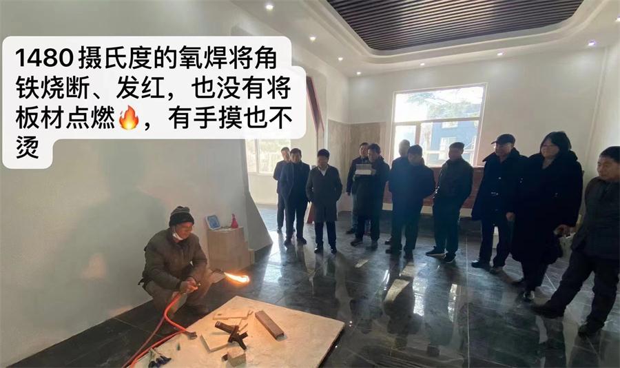 纖維增強覆面木基裝配式房屋技術(shù)研討會(huì )成功舉辦(圖5)