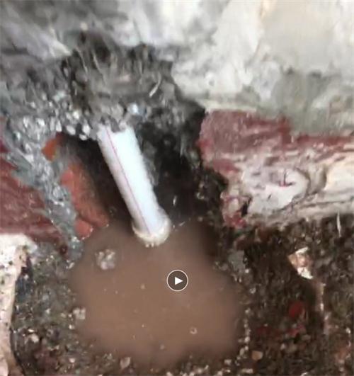 精準檢測漏水、滲水：客廳、廚房、衛生間。。。(圖6)